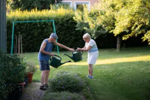 things to do in retirement