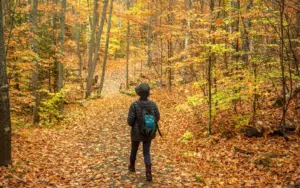 fall bucket list ideas