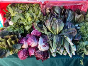 Fresh organic vegetables on a market stall